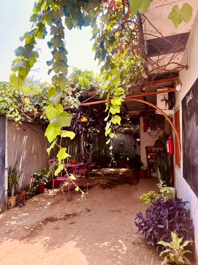Shaded patio with plants and seating