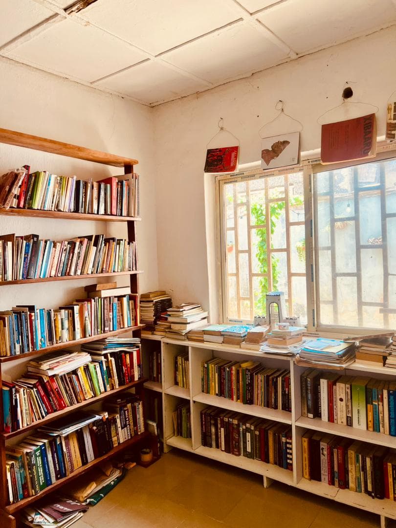 Library and reading area with bookshelves